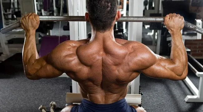 lat pulldown muscles