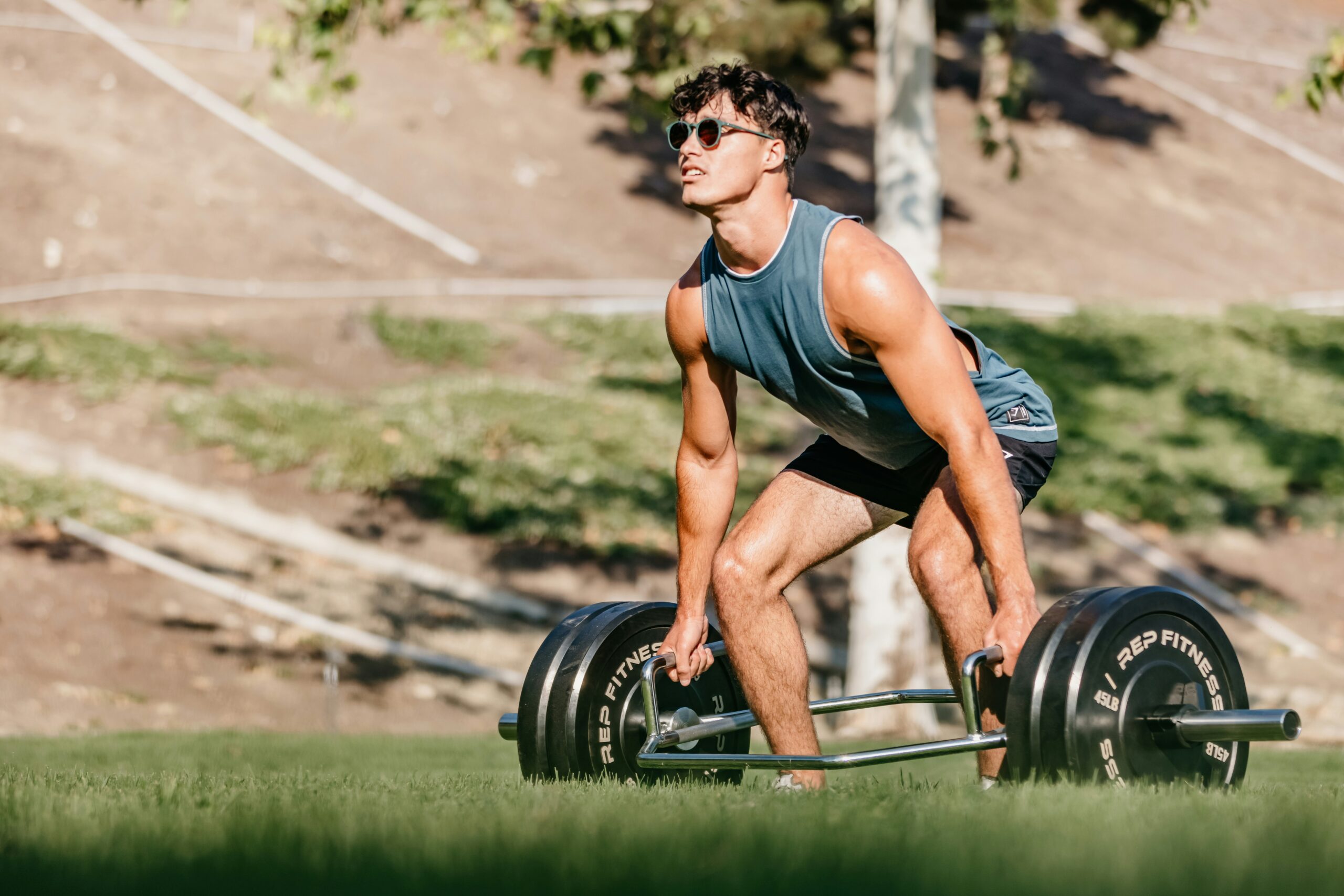 deadlift t-bar