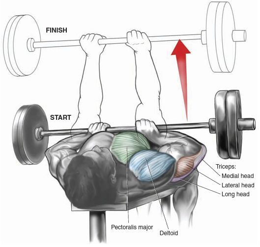 Aktivacija mišića prilikom izvođenja vežbe "Close-grip" bench press