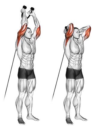 Izvođenje vežbe "Overhead Triceps Extension" na sajli