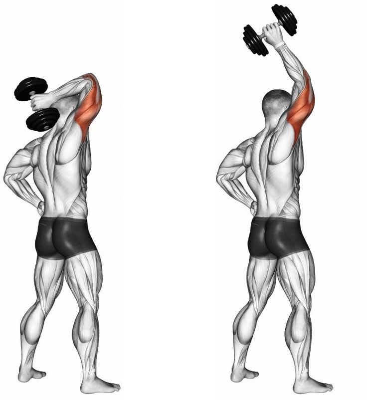 Jednoručna varijanta "Overhead triceps extension"
