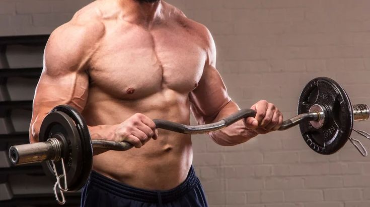Reverse grip barbell curl