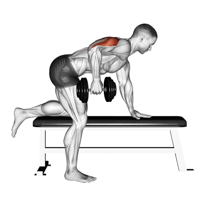 Način izvođenja "Dumbell Kickbacks"